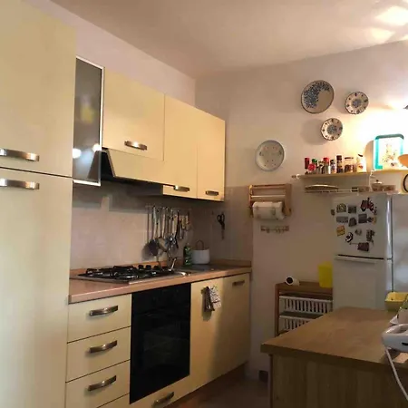 On The Sea Fenicottero