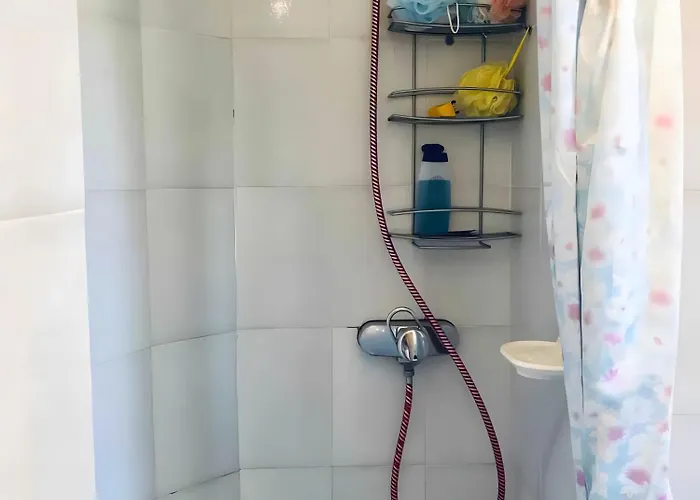 On The Sea Fenicottero *